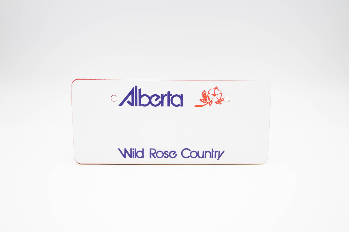 Custom License Plate For Kids Ride On Cars