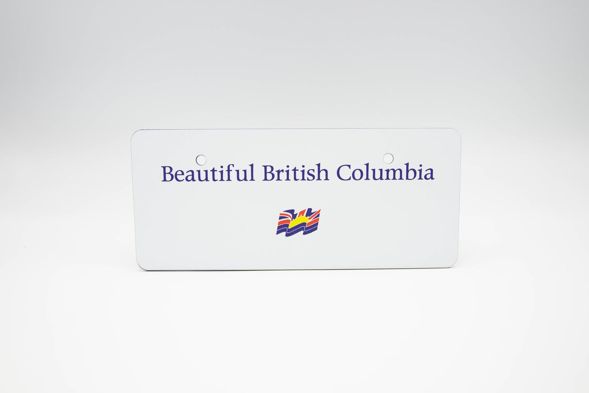 Custom License Plate For Kids Ride On Cars